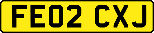 FE02CXJ