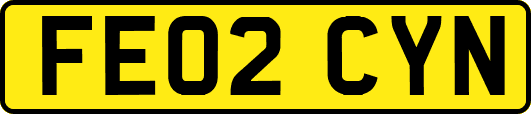 FE02CYN