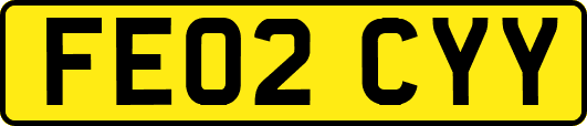 FE02CYY