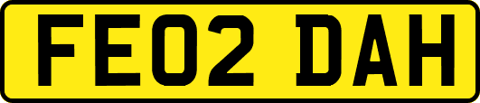FE02DAH