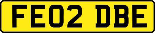 FE02DBE