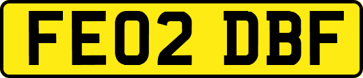 FE02DBF