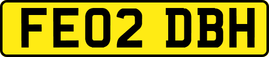 FE02DBH