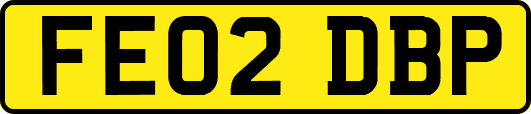 FE02DBP