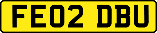 FE02DBU