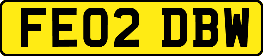 FE02DBW