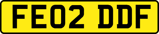 FE02DDF