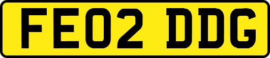 FE02DDG