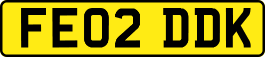 FE02DDK