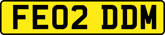 FE02DDM