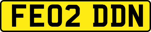 FE02DDN