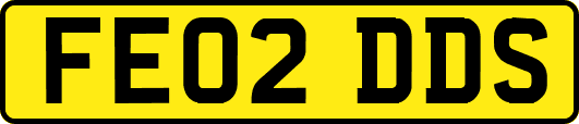 FE02DDS