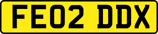 FE02DDX