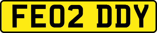 FE02DDY
