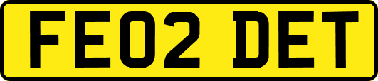 FE02DET