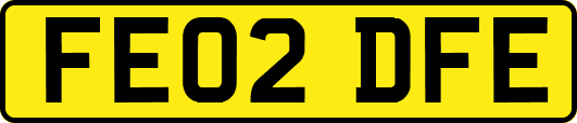 FE02DFE