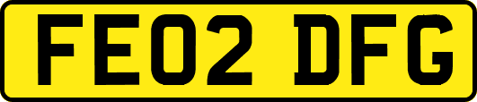 FE02DFG