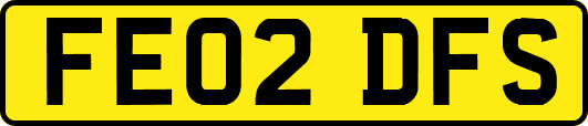 FE02DFS