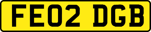FE02DGB