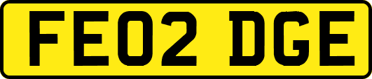 FE02DGE