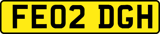 FE02DGH
