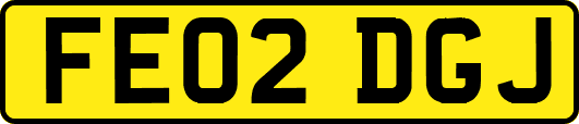 FE02DGJ