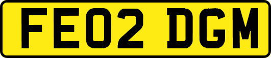 FE02DGM