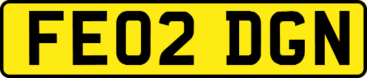 FE02DGN