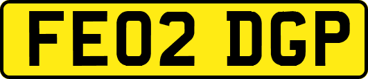 FE02DGP