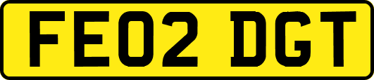 FE02DGT