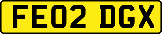 FE02DGX