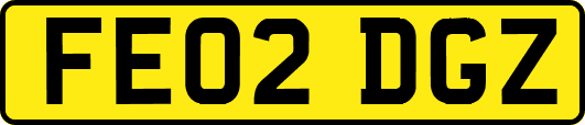 FE02DGZ