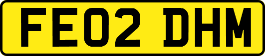 FE02DHM