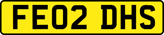 FE02DHS