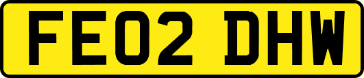 FE02DHW