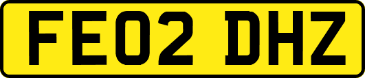 FE02DHZ