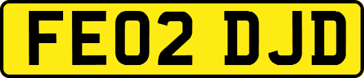 FE02DJD