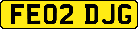 FE02DJG