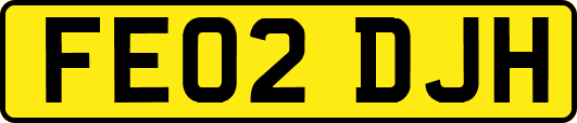 FE02DJH