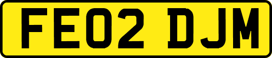 FE02DJM