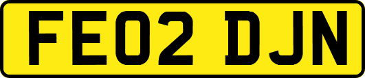 FE02DJN