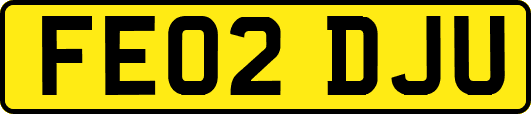 FE02DJU