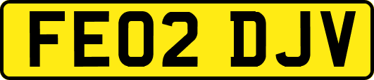 FE02DJV
