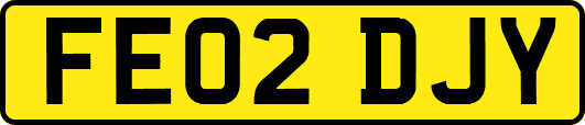 FE02DJY
