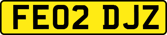 FE02DJZ