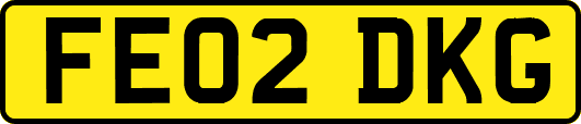 FE02DKG