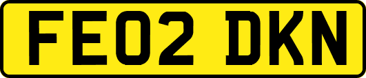 FE02DKN