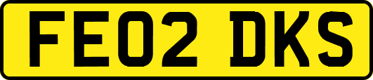 FE02DKS