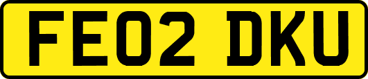 FE02DKU