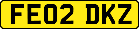 FE02DKZ